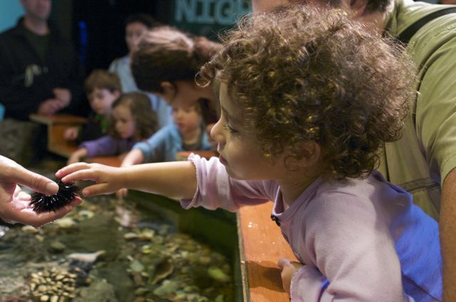 Save The Bay Exploration Center