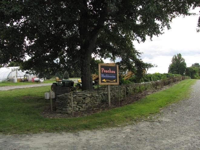 Sweet Berry Farm in Middletown, RI