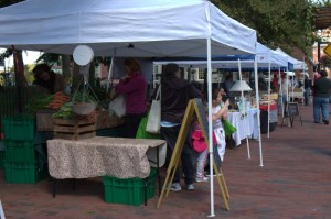 The stands at the Providence Downtown Farmers' Market.