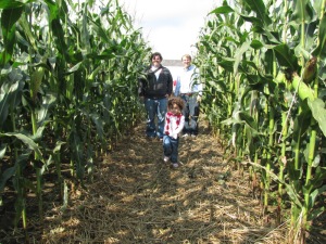 Heading into the corn maze on Schartner Farms.